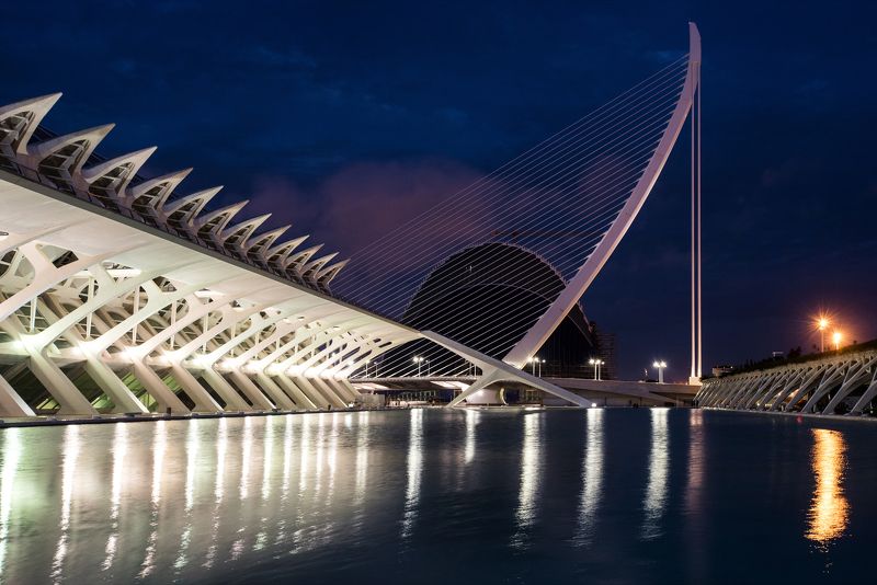 Ночь в Городе науки и искусстваphoto preview