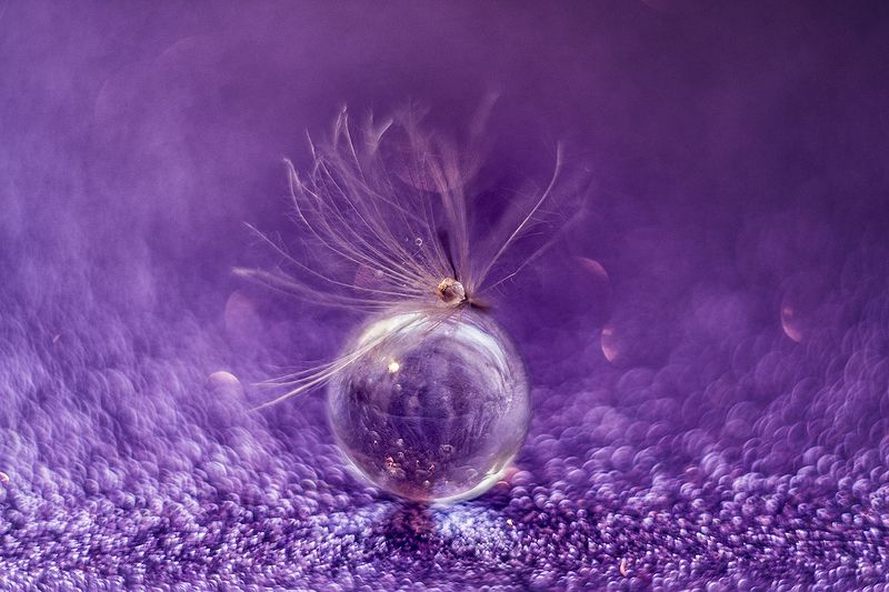 макро, макрофотография, макросъёмка, капли, цвета, боке фиолетовый сонphoto preview