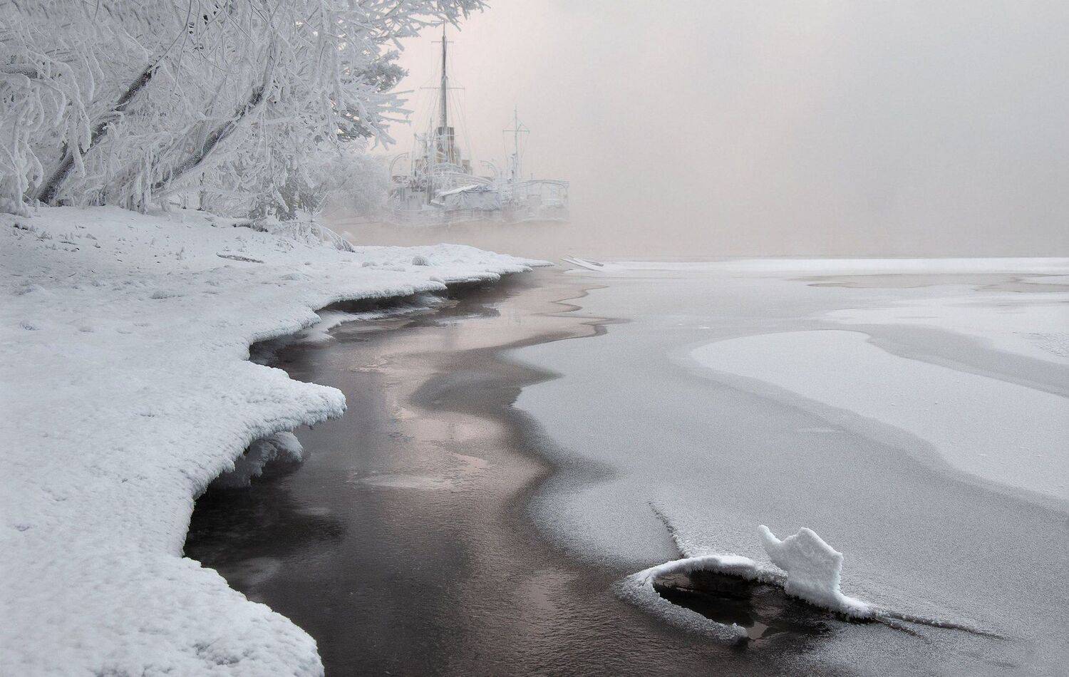 , Марина Фомина