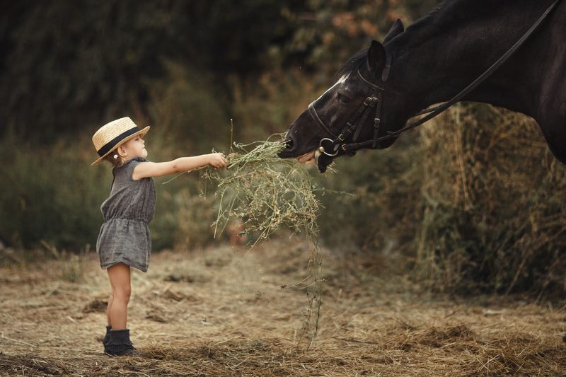 Портретphoto preview