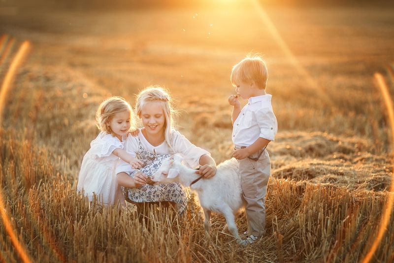 В полеphoto preview