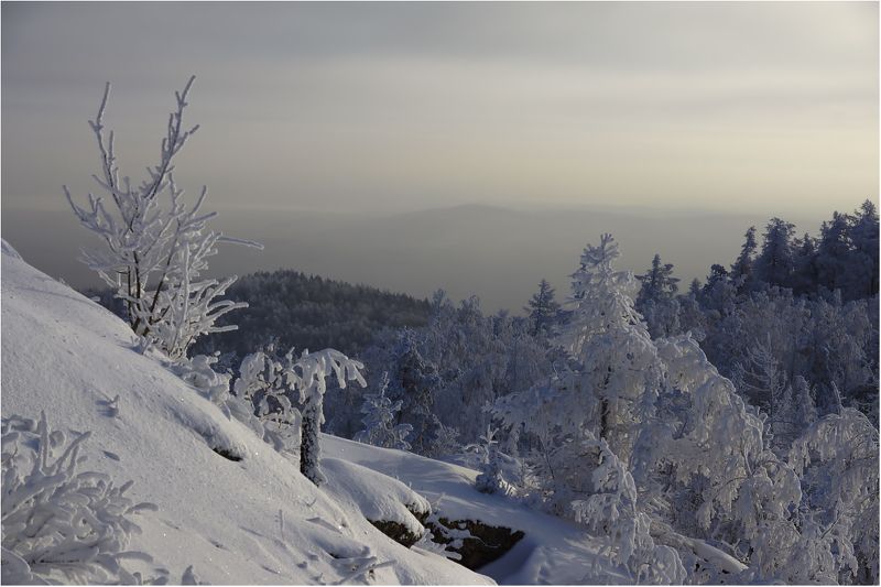 Дали туманные...photo preview