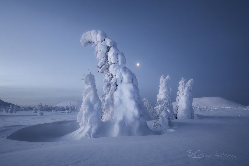ГУХ, Главный уральский хребет, зимний пейзаж, елки, снег, урал, северный урал Духи Северного Уралаphoto preview