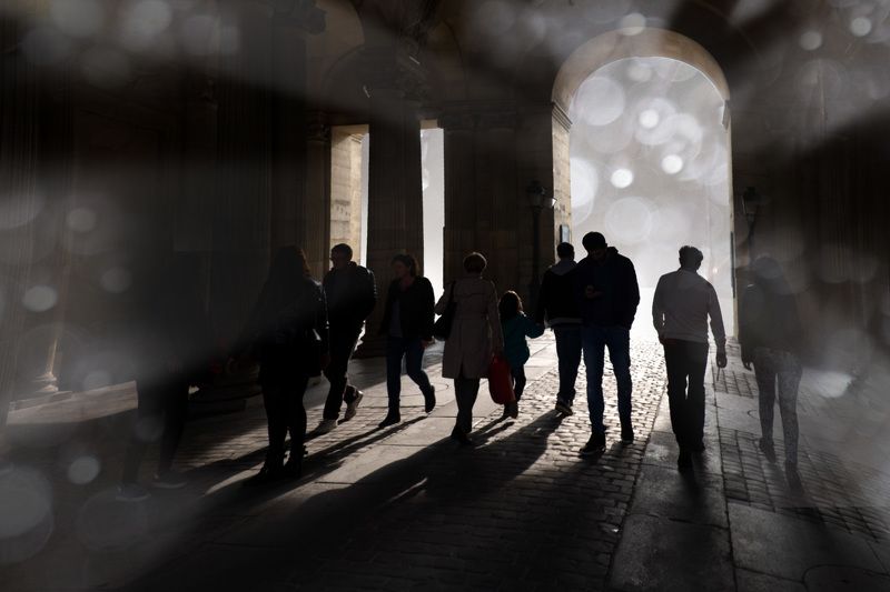 Солнечные зайчикиphoto preview