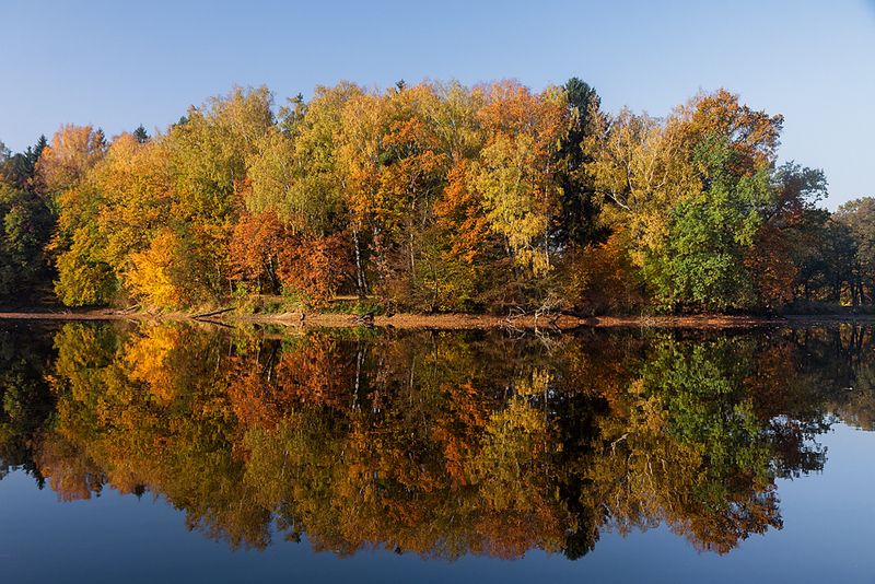 Осеньphoto preview