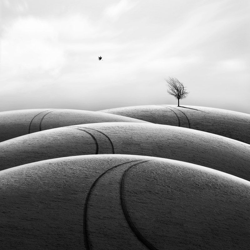 #35photo #surrealart#photoshop#ps_fantasy#art_minimal #bnw_dream #photography#minimalism#conceptual#fineart #instagram#ps_dreams#bnwminimalismmag#art_digital #ir_photographer#ir_aks#minimal#canon#blackandwhite#bnw#surreal#hadimalijani#art#fantastic_earth# Far awayphoto preview