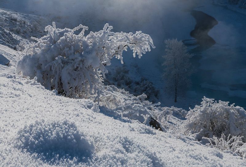 алтай, сибирь, иней, чуя, зима, стужа, январь Снежный крокодилphoto preview