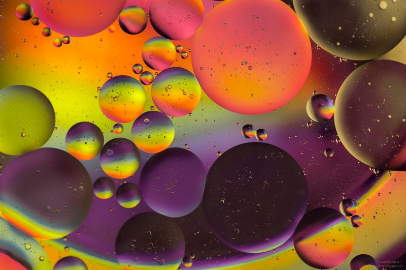 макро, вода, масло, абстракция, радуга, капли, macro, water, oil, abstraction, rainbow, drops, радужный мирphoto preview