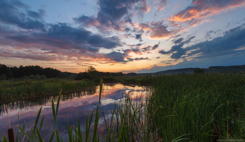 закат, камыш, лето, Украина, Васильков, Стугна, озеро, река, Украина, васильків, vasilkiv Один летний вечер фото превью