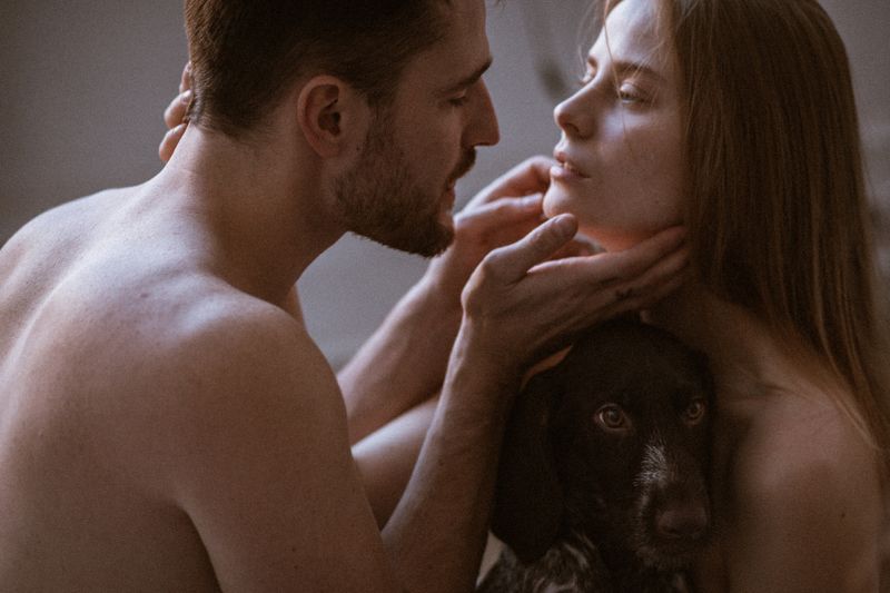 girl, man, portrait, woman, cute, stunning, great, девушка, портрет, женщина, мужчина, парень, любовь, love, love story, dog, собака heart to heartphoto preview