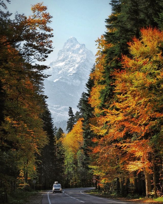 домбай, кавказ, белалакая Осенний Домбайphoto preview