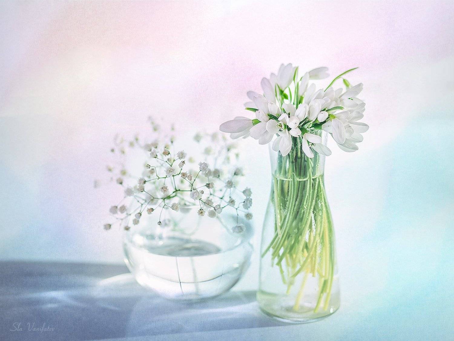 ***. Автор: Вячеслав Ванифатьев , Вячеслав Ванифатьев