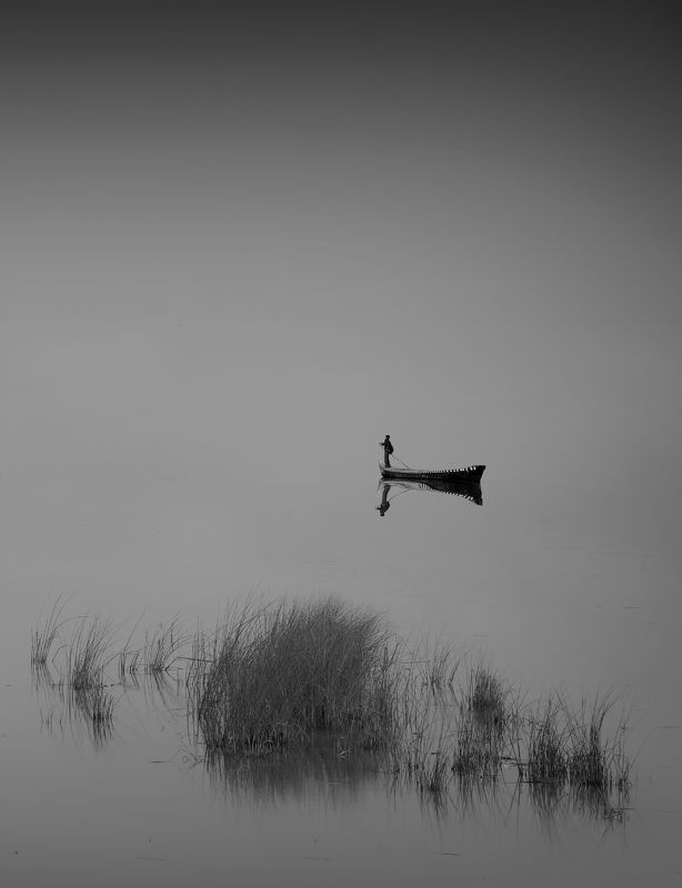 hunter, man marsh sky waters The Hunterphoto preview