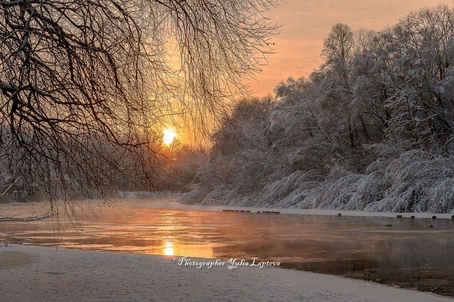 пейзаж,природа,россия,зима,февраль,утро,рассвет,красота, Юлия Лаптева