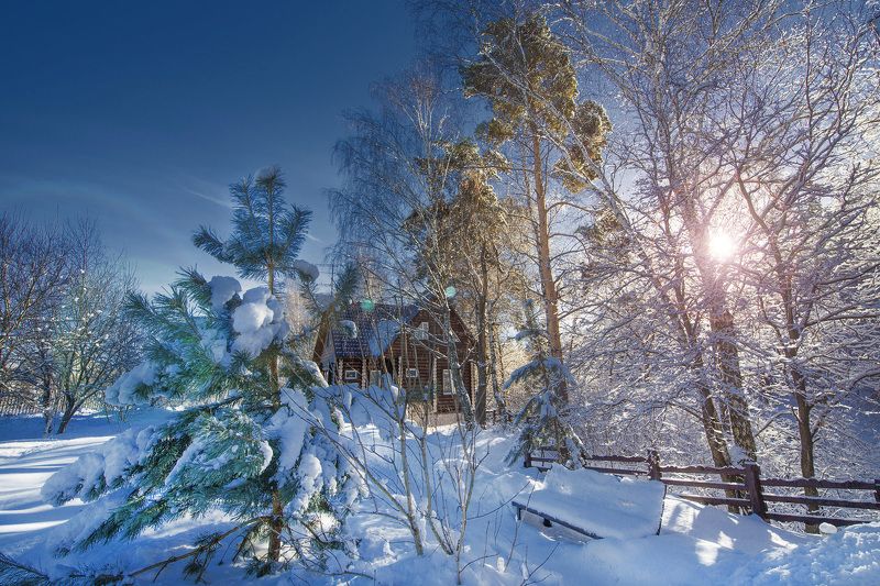 Зимняя прогулка или февраль в подмосковье...photo preview