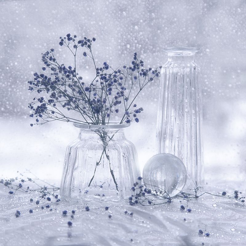 А снежинок стая все в окно стучится...photo preview