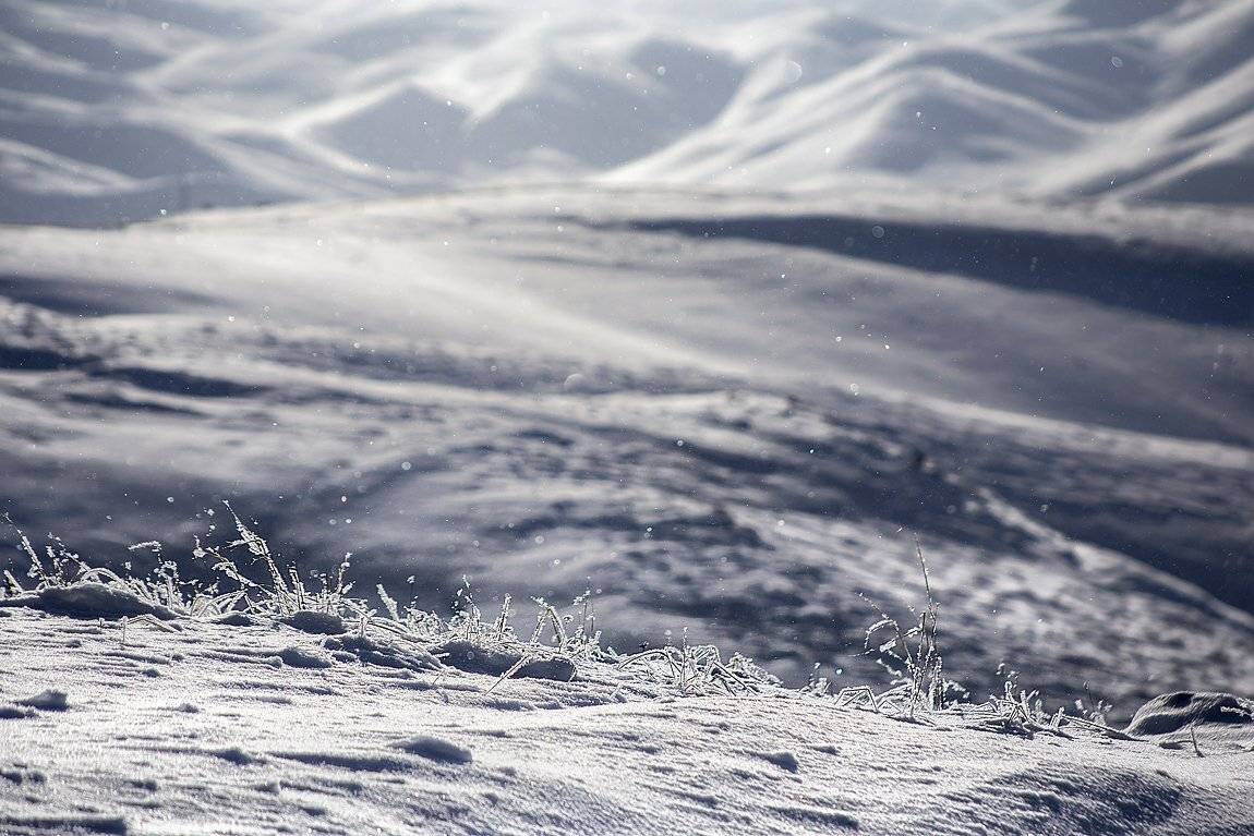 Изморозь. Автор: Качурин Алексей , Качурин Алексей