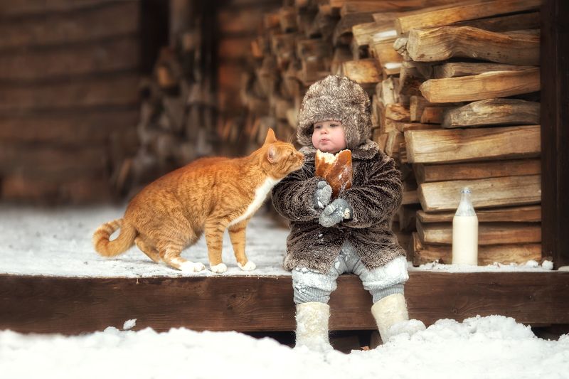 кот неожиданный гостьphoto preview