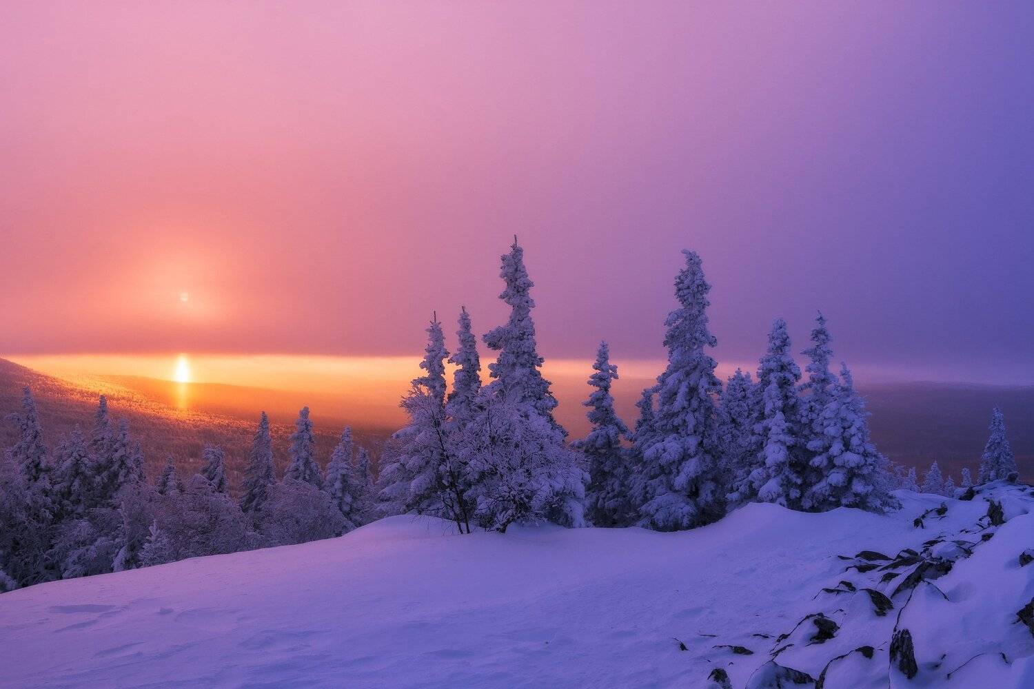 *******. Автор: Андрей Шарапов , Андрей Шарапов