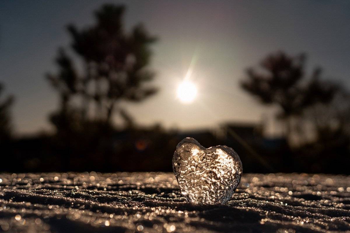 Ледяной лайк. Автор: Оксана Серова , Оксана Серова