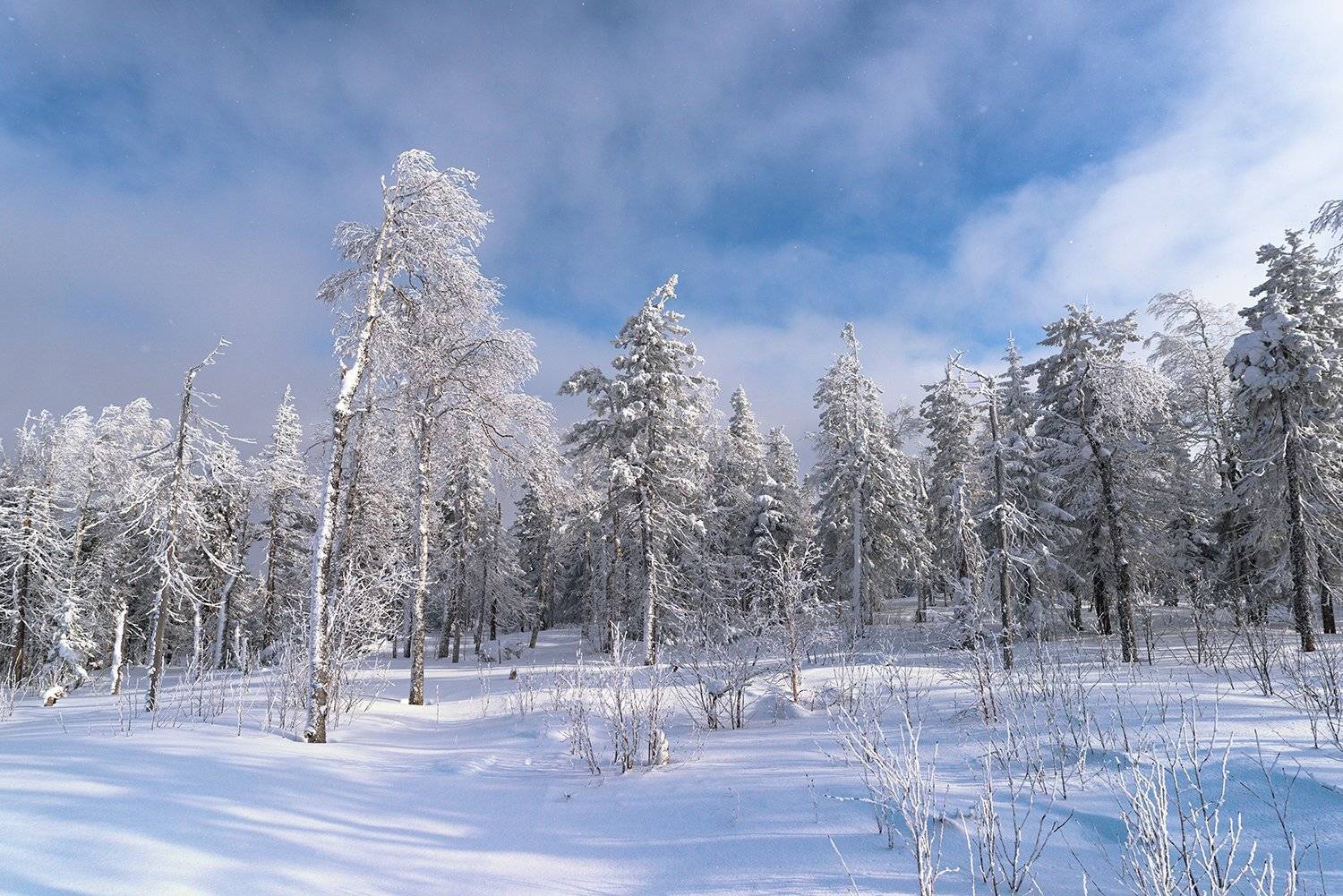 Зимняя сказка горы Белой. Автор: Сергей Скоробогатов , Сергей Скоробогатов
