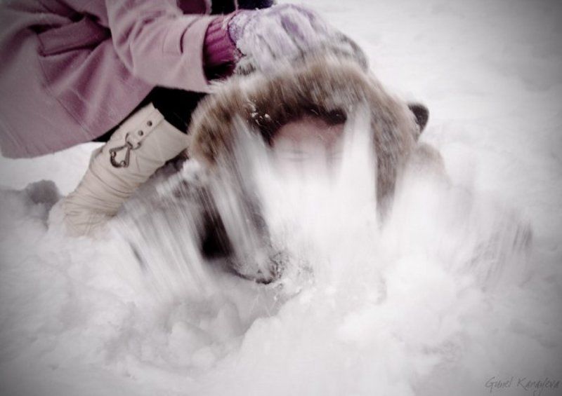 снег, зима укрощение строптивойphoto preview