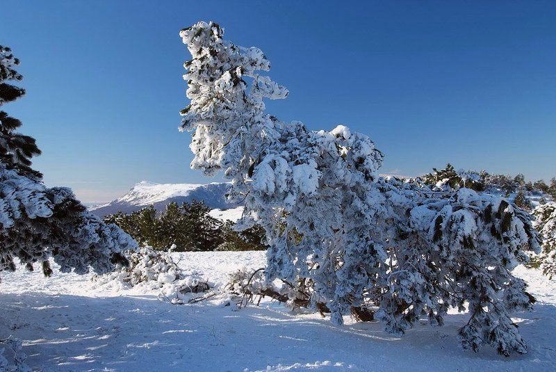 крым ***photo preview