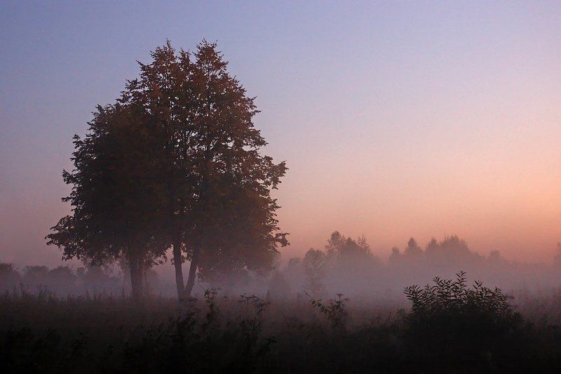 абрамцево вечерняяphoto preview