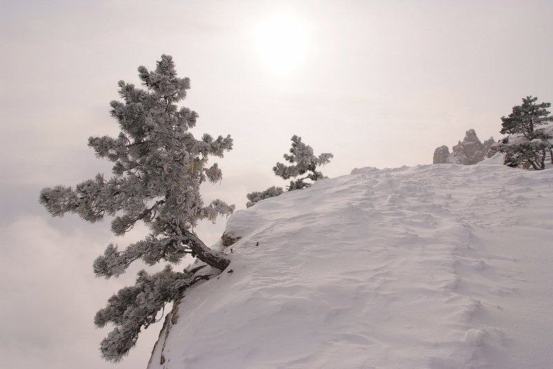 крым, ай петри ***photo preview