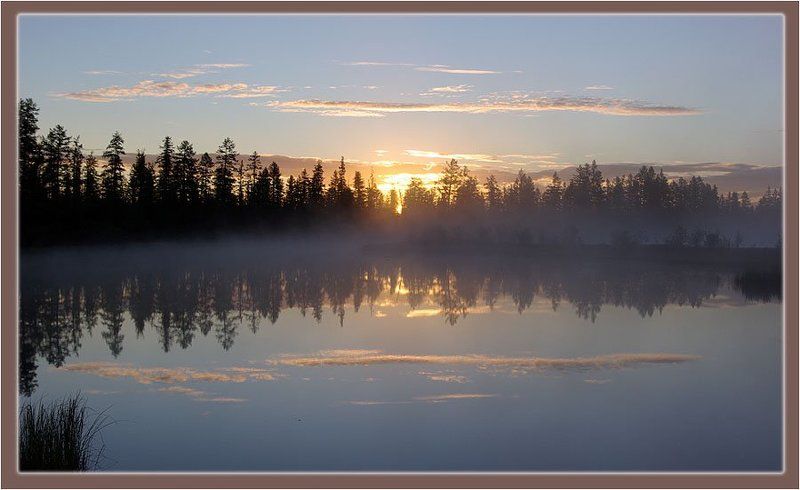 река,тайга,рассвет Утро на рекеphoto preview