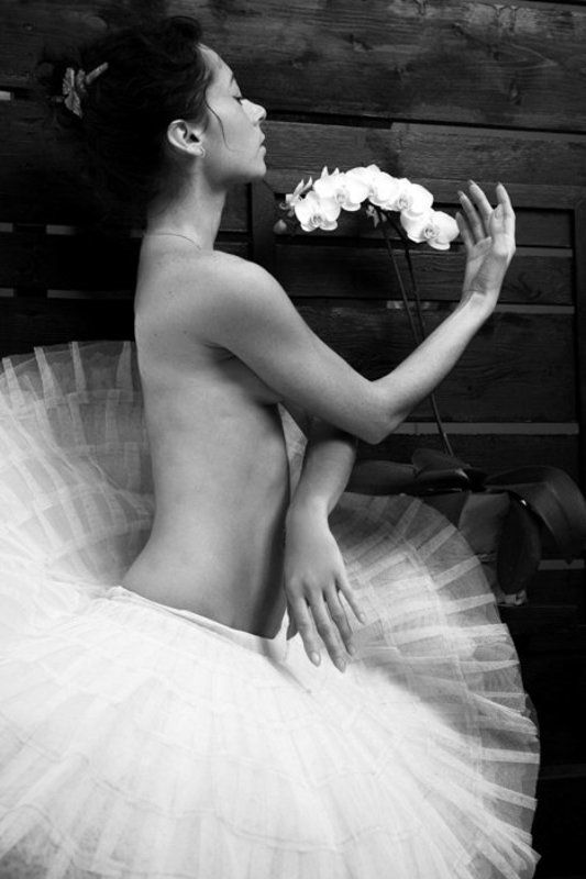 орхидея photo preview