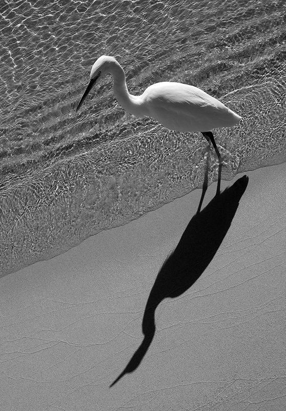 Пограничники фото превью