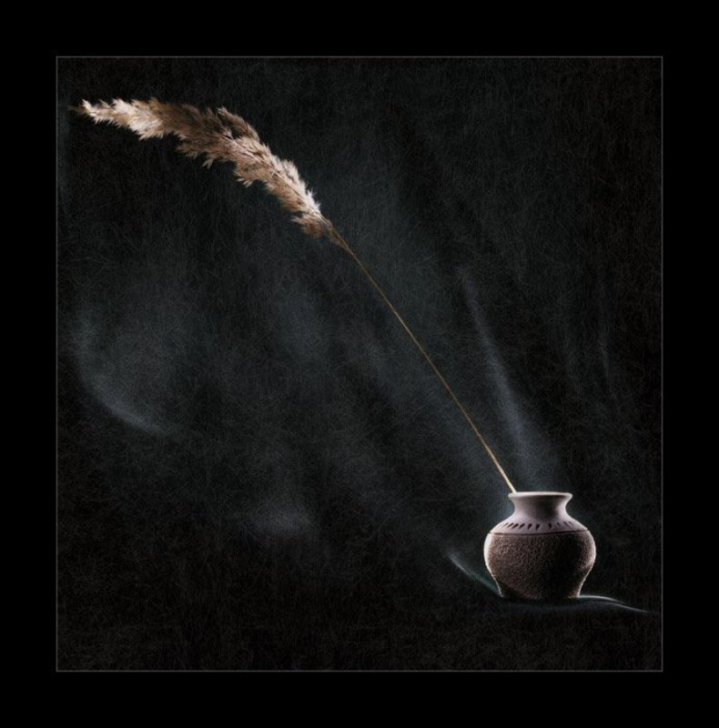 световая кисть О соразмерностяхphoto preview