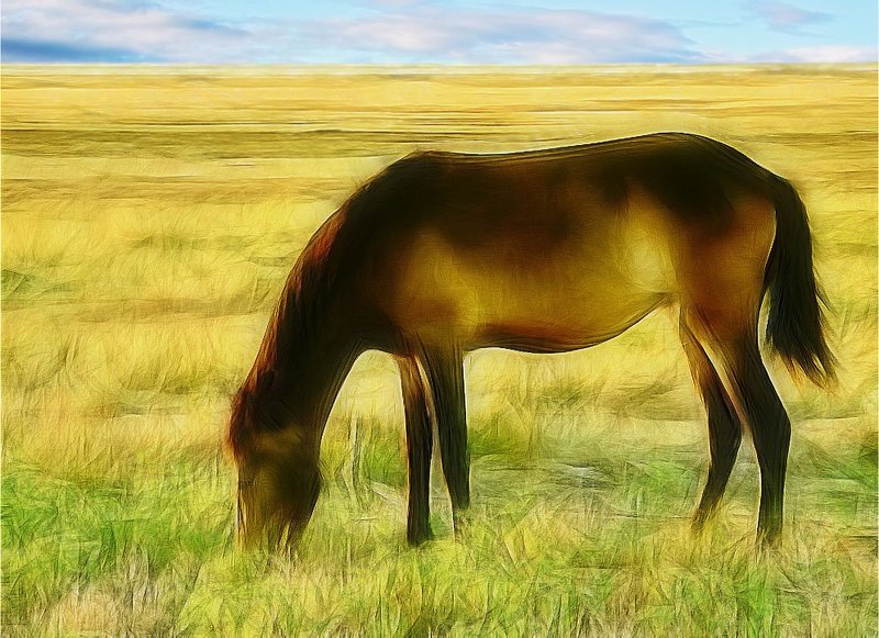 Просторы свободыphoto preview