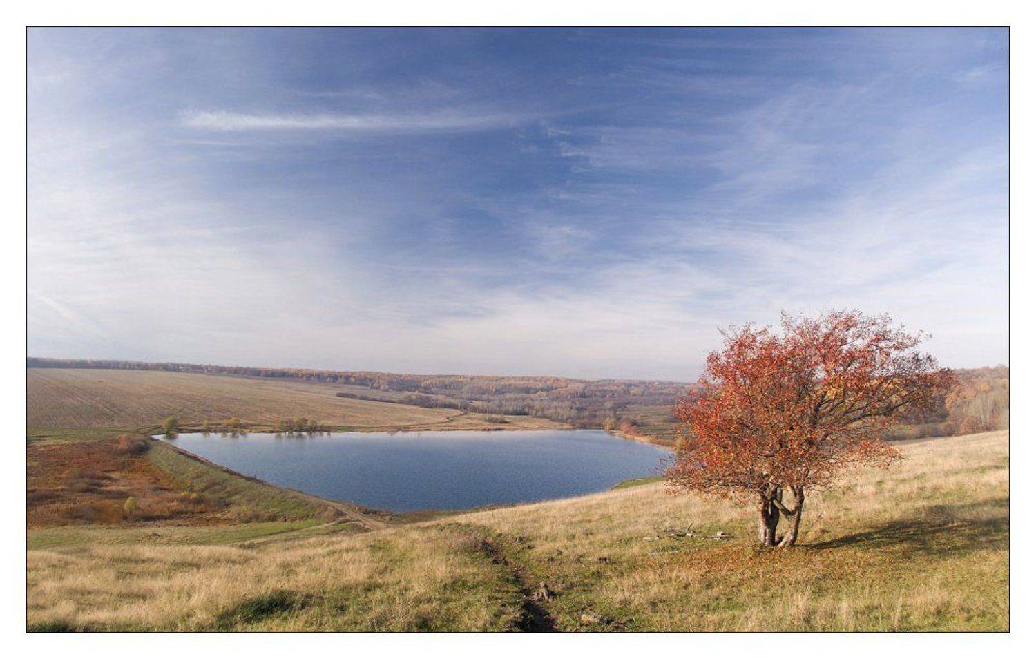 осень, ноябрь, дорога_в_даль, пруд, дерево, Александр Дубовицкий
