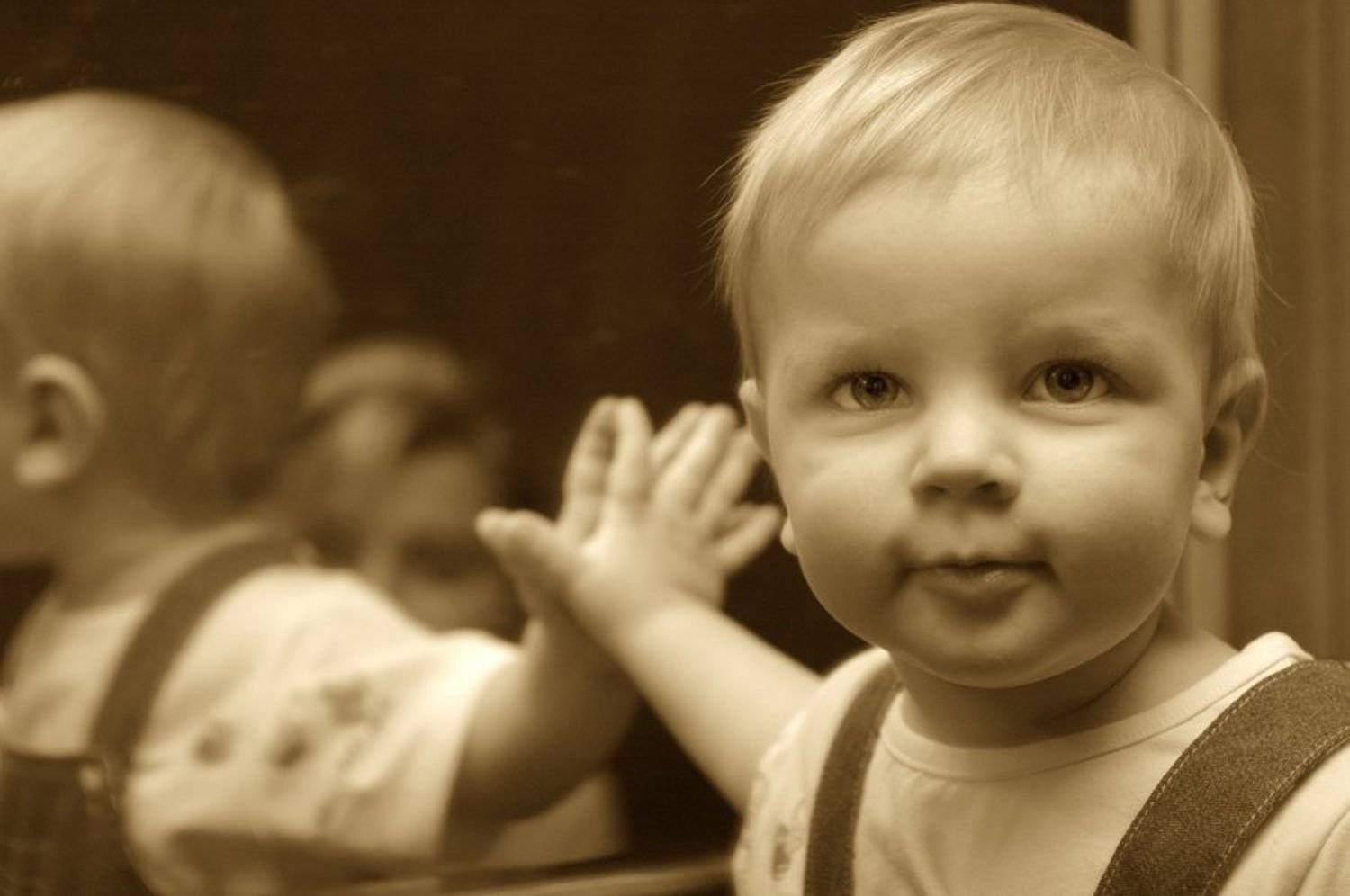 Второй год жизни. Автор: Евгений Пугачев. цветры жизни, Евгений Пугачев.