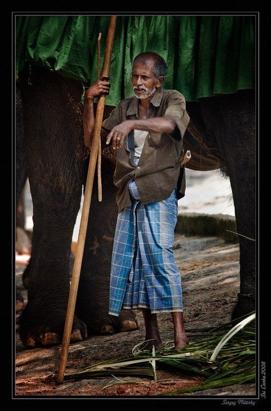 Погонщик слонаphoto preview