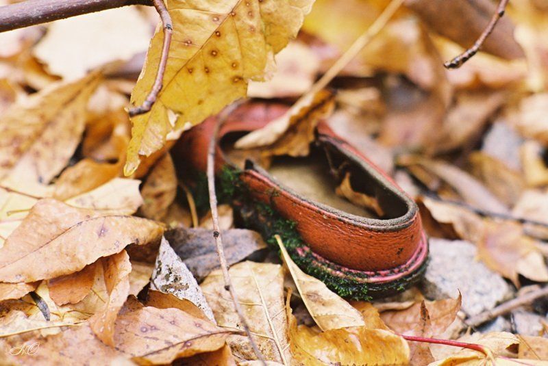 осень, детство, сандаль, листья Утеряное детство фото превью
