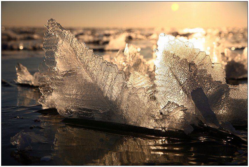 зима, лёд, снег, мороз, залив, солнце, иней, льдинки, Григорий Иващенко