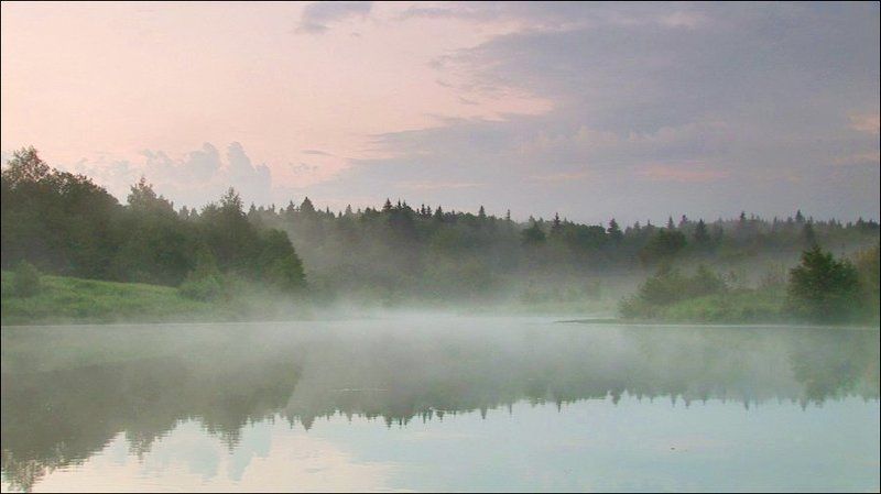 туман Туманная нежностьphoto preview