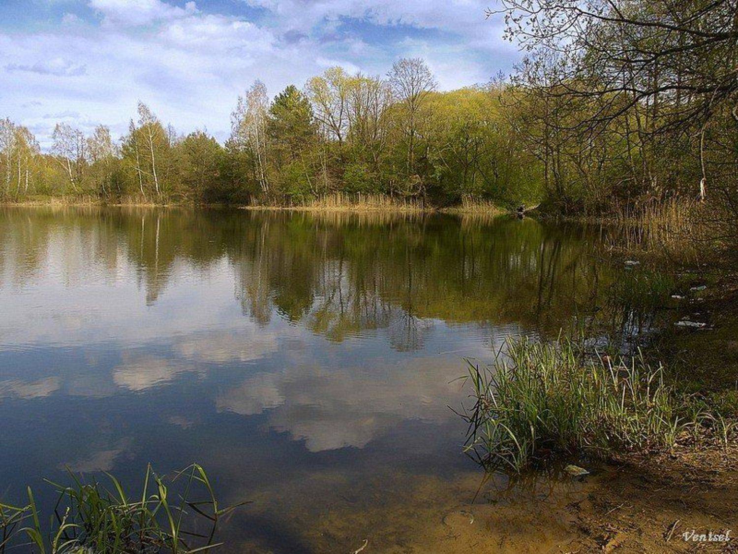 ***. Автор: Венцель Александр , Венцель Александр