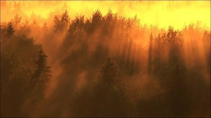 туман Огненный туманphoto preview