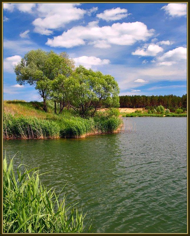 Лето на прудуphoto preview