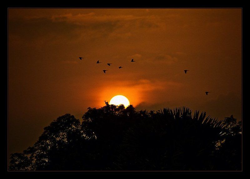 Закатphoto preview