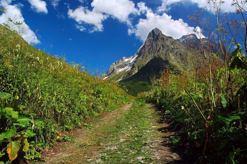 домбай, кавказ ***photo preview