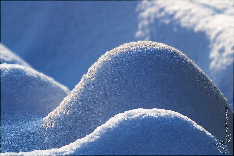 снег,мороз,сугроб,одиночество Одиночество вдвоем.... фото превью