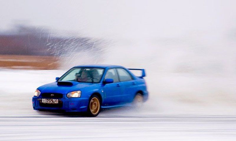 SnowScoobyphoto preview