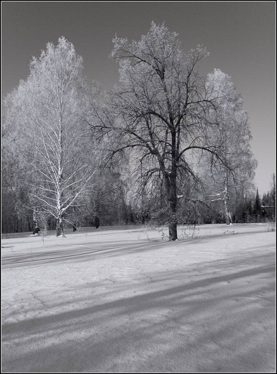 ***. Автор: Степанов Сергей снеговые горы аша, Степанов Сергей