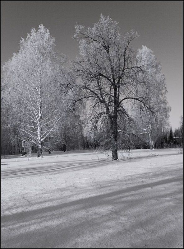 снеговые горы аша ***photo preview