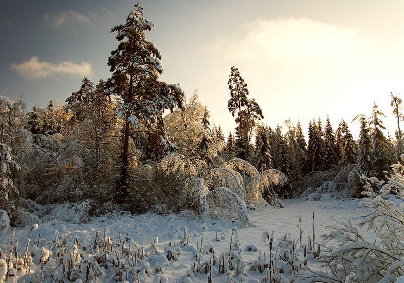 зимние зарисовкиphoto preview